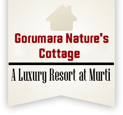 Gorumara Nature's Cottage